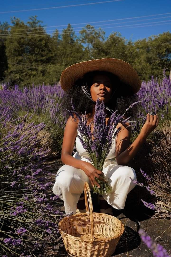 Lavande et nature