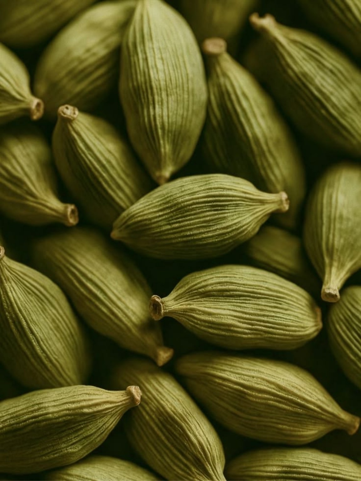 Gousses de cardamome verte