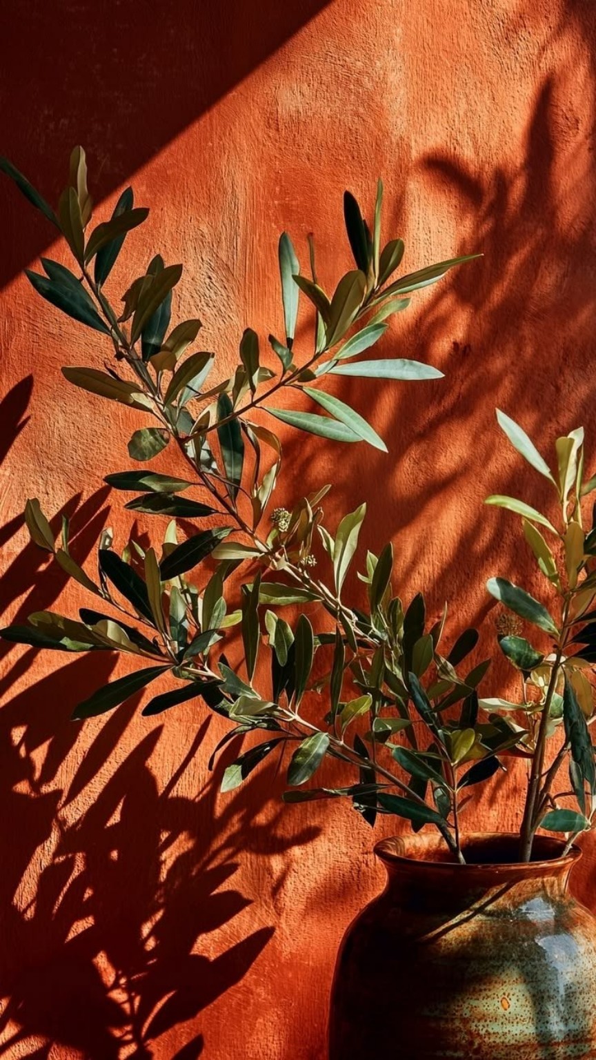 Branches feuillues devant un mur terracotta